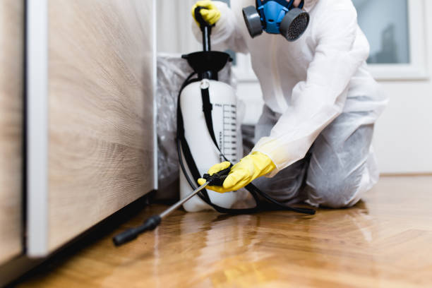 Best Pest Removal Services  in Natalbany, LA