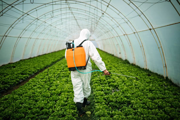 Best Emergency Pest Control  in Natalbany, LA