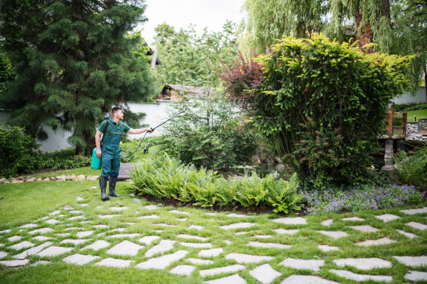 Trusted Natalbany, LA Pest Control Experts