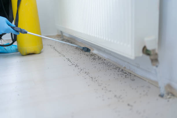 Best Affordable Pest Control Services  in Natalbany, LA