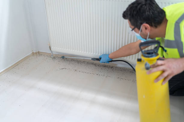 Pest Control for Restaurants in Natalbany, LA