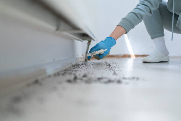 Wasp Removal Services in Natalbany, LA