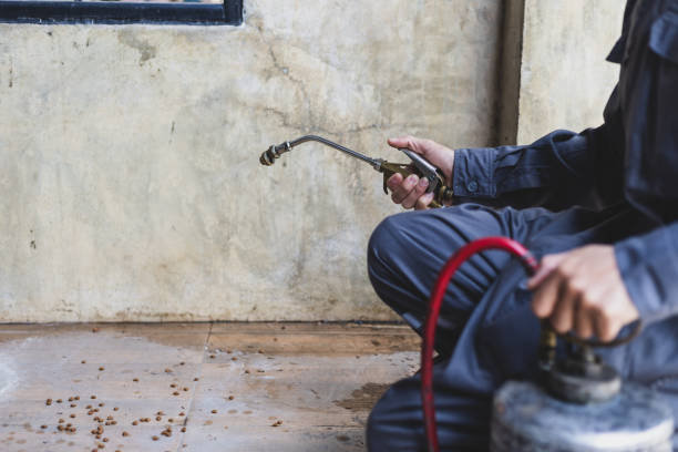 Best Exterminator Services  in Natalbany, LA