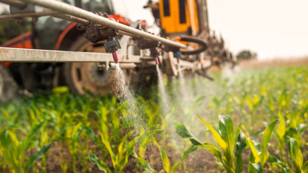 Best Commercial Pest Control Services  in Natalbany, LA