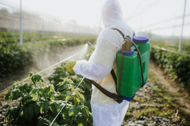 Best Affordable Pest Control Services  in Natalbany, LA
